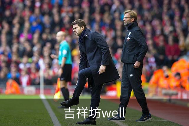 吉祥坊well公司介绍展示图